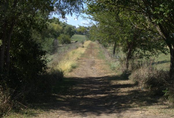 Cross Country course photo