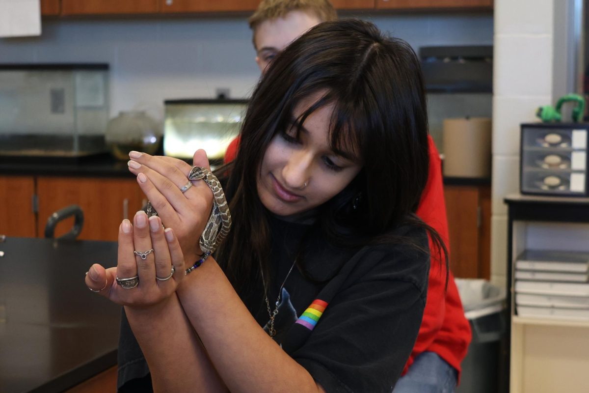 Anya Mahajan holding a reptile snake, learning about all it's traits and how it survives in its habitat.