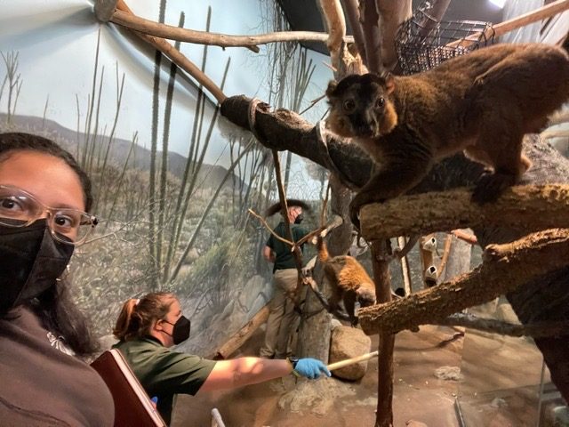 Senior Sha'uri Sanchez poses next to Lemur while working alongside zookeepers.