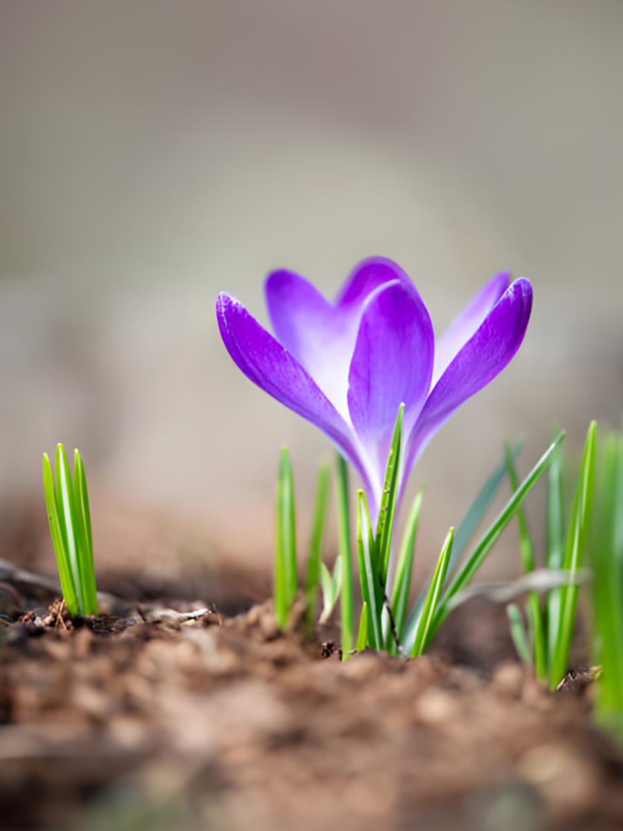 Let the season lead you to grow